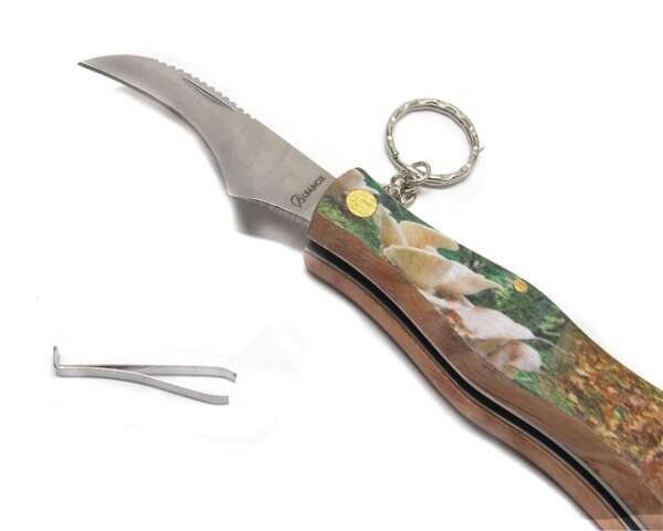 Coltello per funghi con fodero in nylon Albainox 18258 - immagine 3