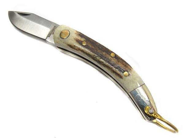 Coltello Virginia Caccia Manico Cervo Lama cm 6 VI3461