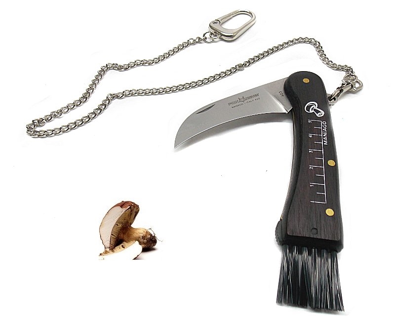 Coltello Fox 403 coglifunghi legno