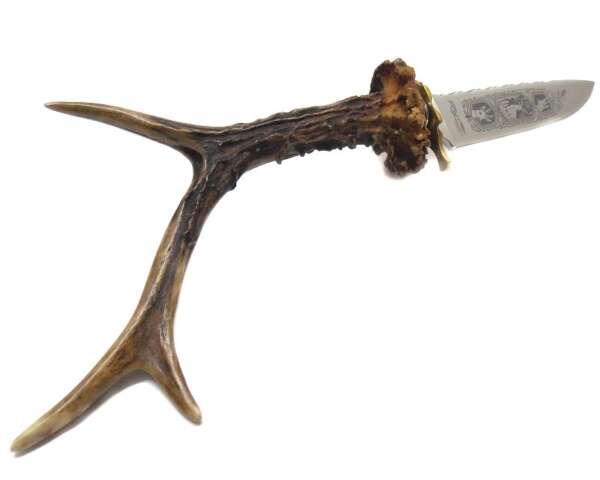 Coltello Fox 653 manico in corno di cervo originale - immagine 2