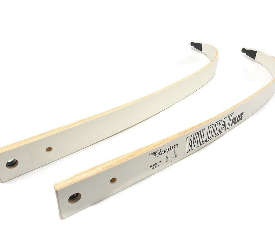 Flettenti WILDCAT PLUS di ricambio per arco Ragim - 70inch_30LBS