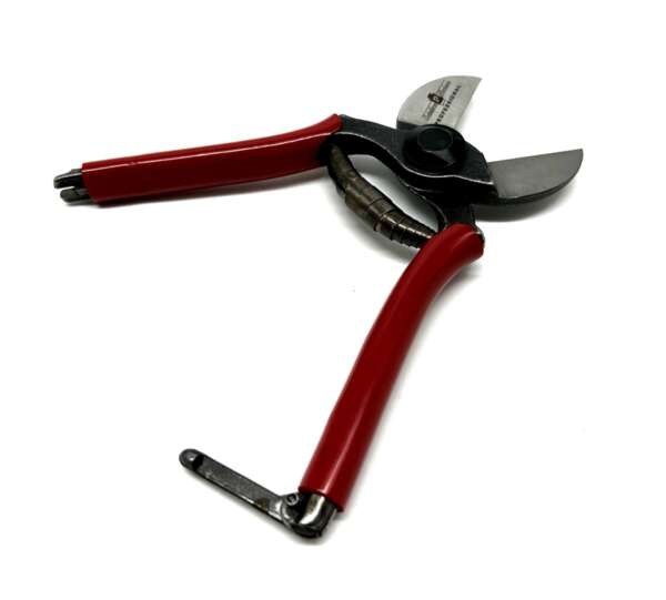 Forbici da potatura cm 19 155 doppio taglio - immagine 3