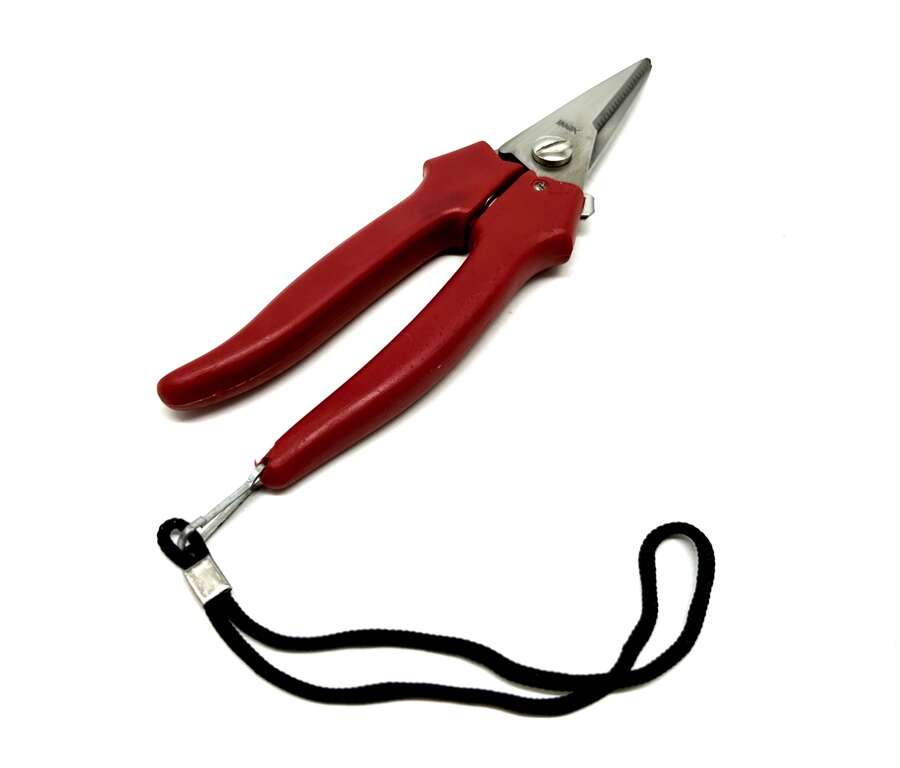 Forbici inox per fiori cm 19