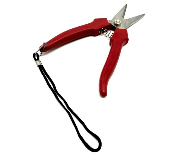 Forbici inox per fiori cm 19 - immagine 2