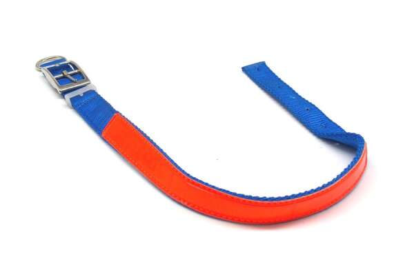 Collare luminescente per cane - ROSSO-U