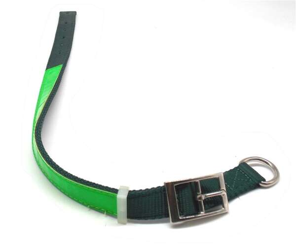 Collare luminescente per cane - immagine 2
