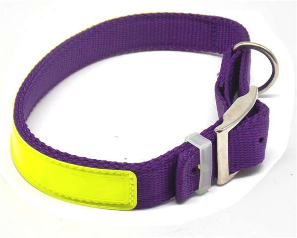 Collare luminescente per cane - immagine 3