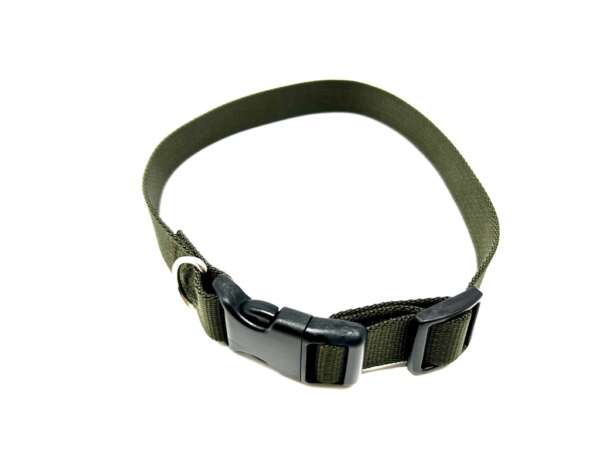 Collare nylon per cane 20X530 mm verde