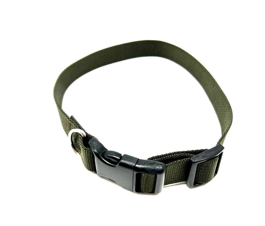 Collare nylon per cane 20X530 mm verde