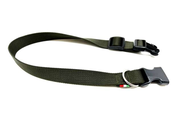 Collare nylon per cane 20X530 mm verde - immagine 2