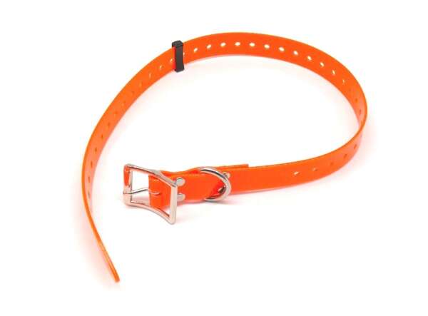 Collare biothene plastificato per cane - NERO-U - immagine 3
