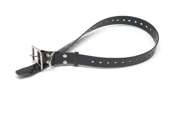 Collare biothene plastificato per cane - NERO-U - immagine 5