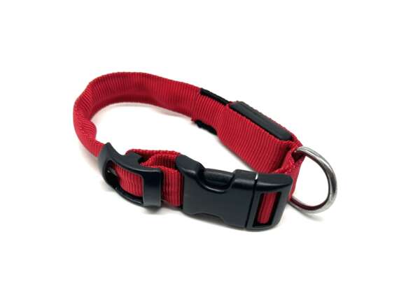 Collare luminoso Nite ize a led per cane - M - immagine 2