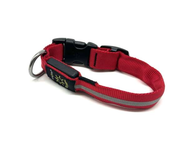 Collare luminoso Nite ize a led per cane - M - immagine 3
