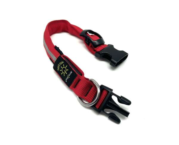 Collare luminoso Nite ize a led per cane - S - immagine 4