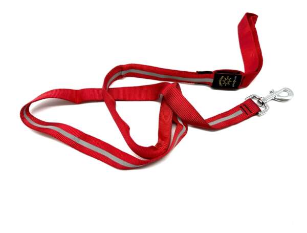 Guinzaglio luminoso Nite ize led per cane