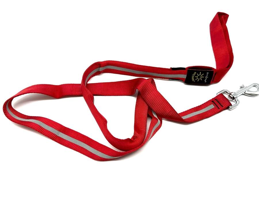 Guinzaglio luminoso Nite ize led per cane