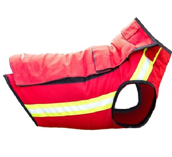 Corpetto protezione cane SOLENGO J 45 canicom - M