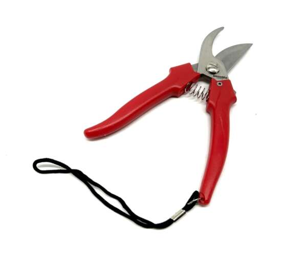 Forbici Ausonia da giardino manico in plastica 035031 - immagine 2