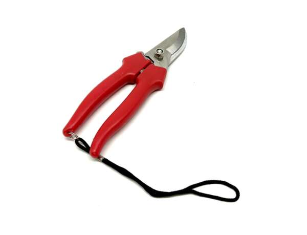 Forbici Ausonia da giardino manico in plastica 035031 - immagine 3