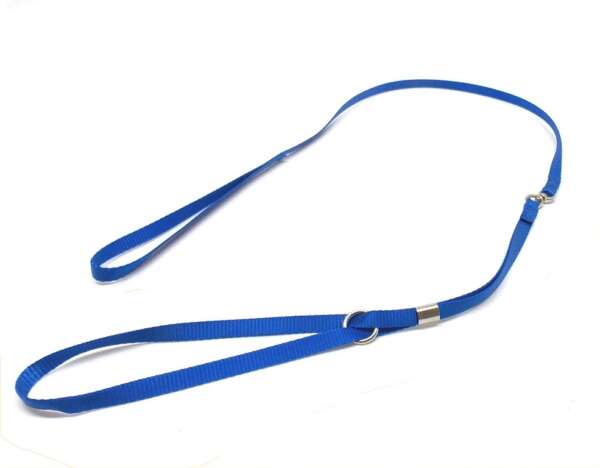 Guinzaglio con collare pieghevole in nylon - AZZURRO-U - immagine 3