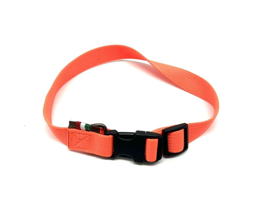 Collare Delfiero nylon arancione 2,5x60 cm per cane