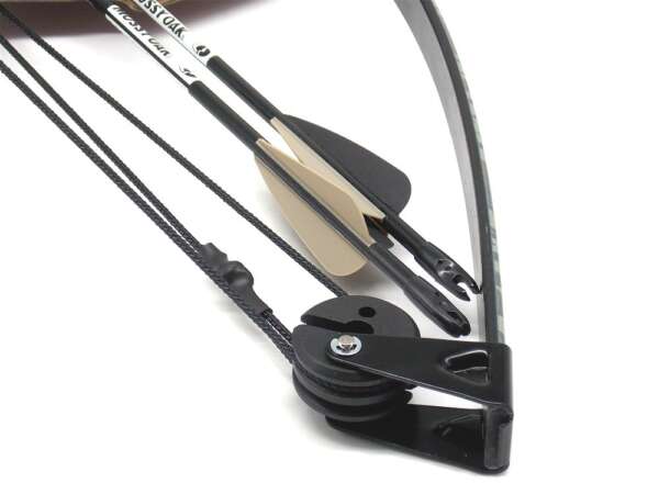 Arco Barnett Wildhawk 15 libbre - immagine 3