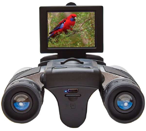 Binocolo Levenhuk Atom Digital 10x25 con display DB10 LCD - immagine 3