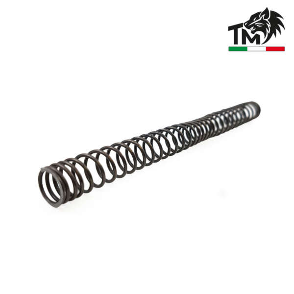 MOLLA RCS 100M/S AEG (TM100RCS) - immagine 3