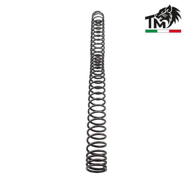 MOLLA RCS 100M/S AEG (TM100RCS) - immagine 2