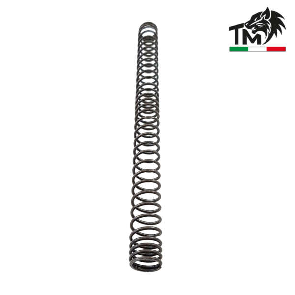 MOLLA RCS 140M/S AEG (TM140RCS) - immagine 2