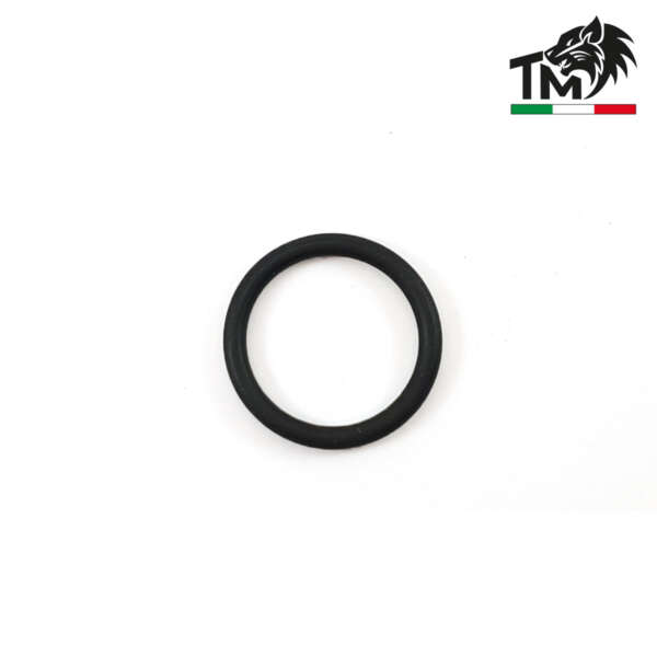 O-RING PER TESTA PISTONE (TMORG)