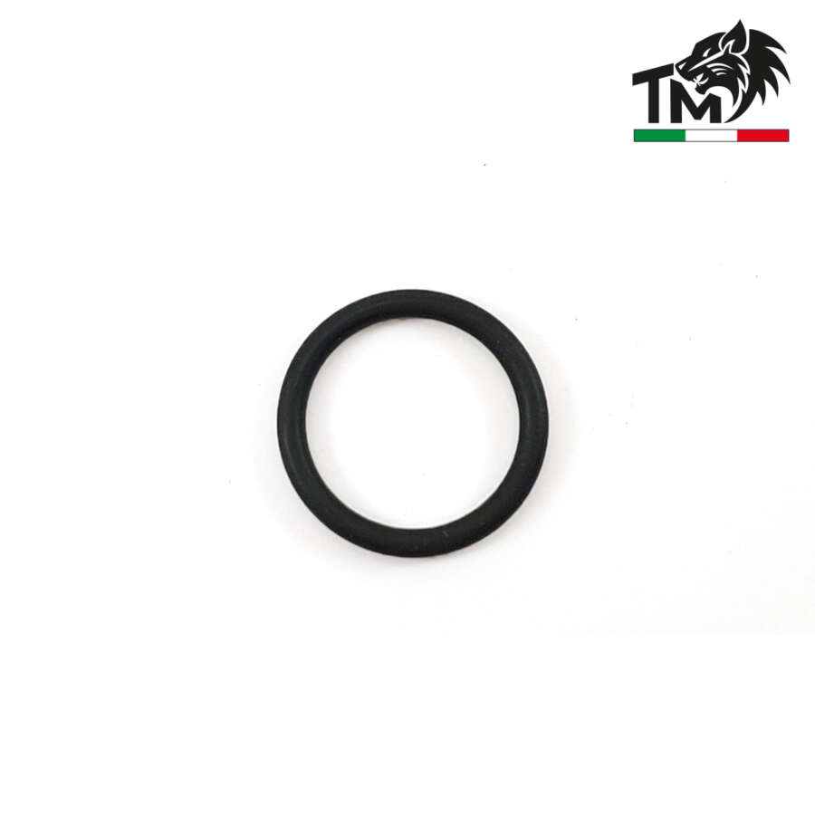 O-RING PER TESTA PISTONE (TMORG)