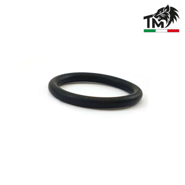 O-RING PER TESTA PISTONE (TMORG) - immagine 2