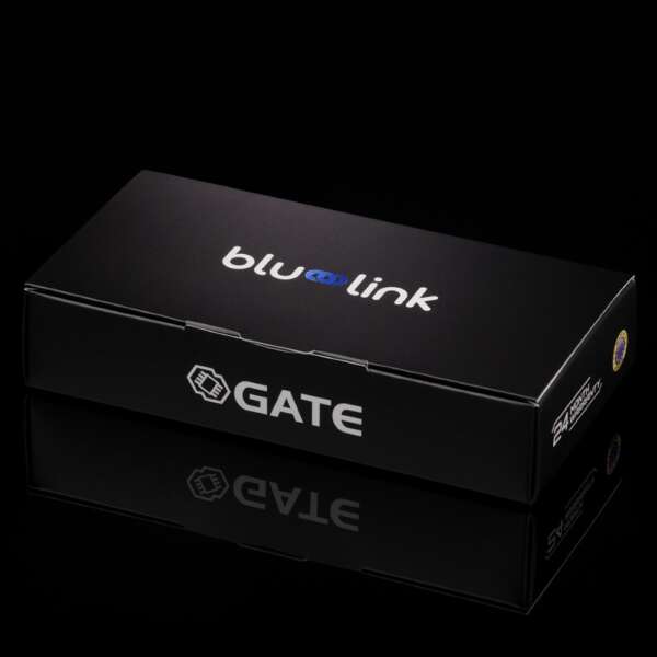 GATE BLU-LINK (BLU-L) - immagine 6