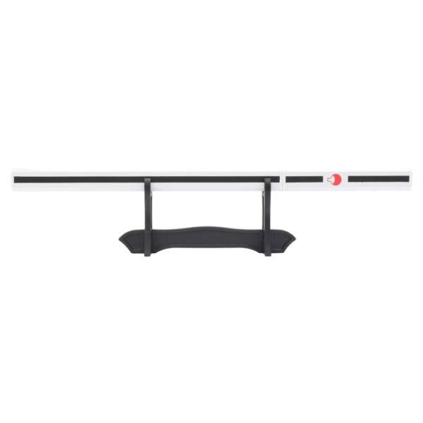 MINI KATANA ORNAMENTALE CON STAND (ZS502W-MINI) - immagine 2