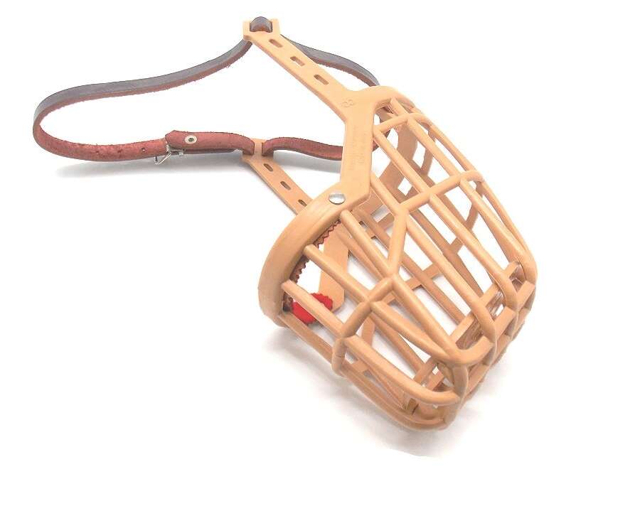 Museruola numero 8 in cuoio e plastica per cane